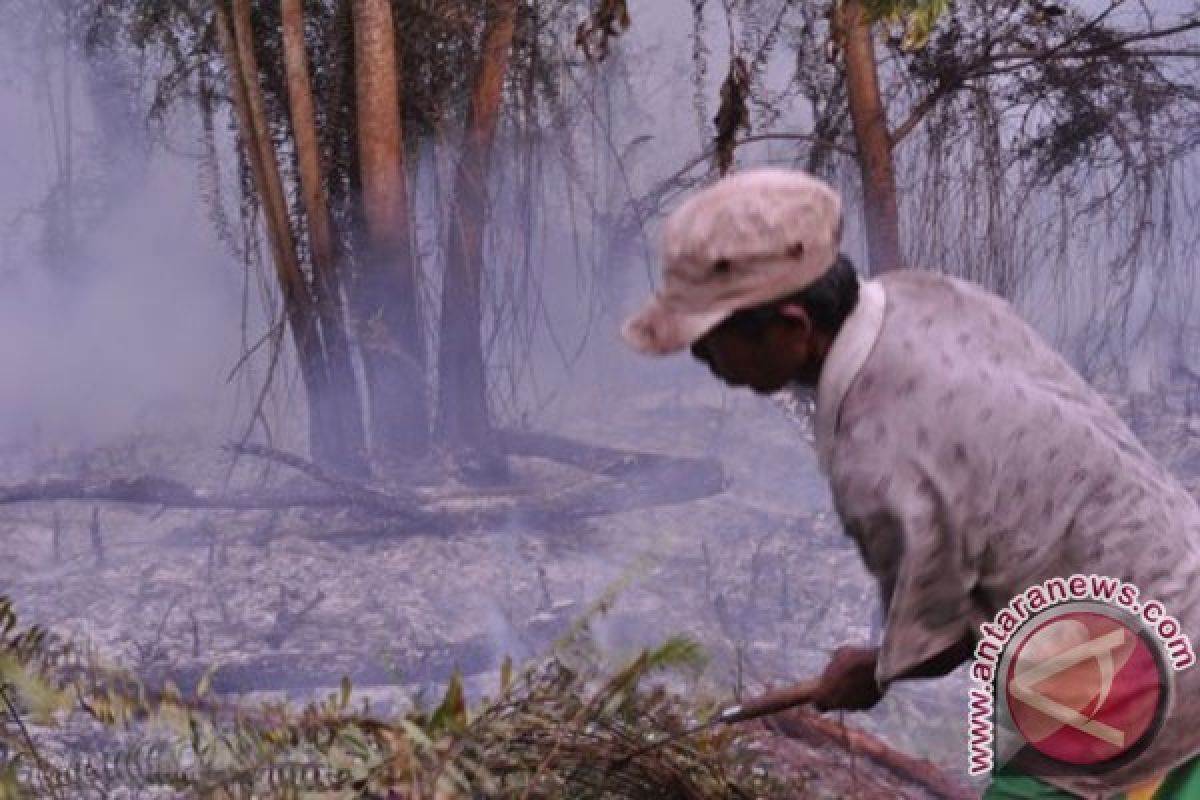 Indeks pencemaran udara Palangka Raya sedang