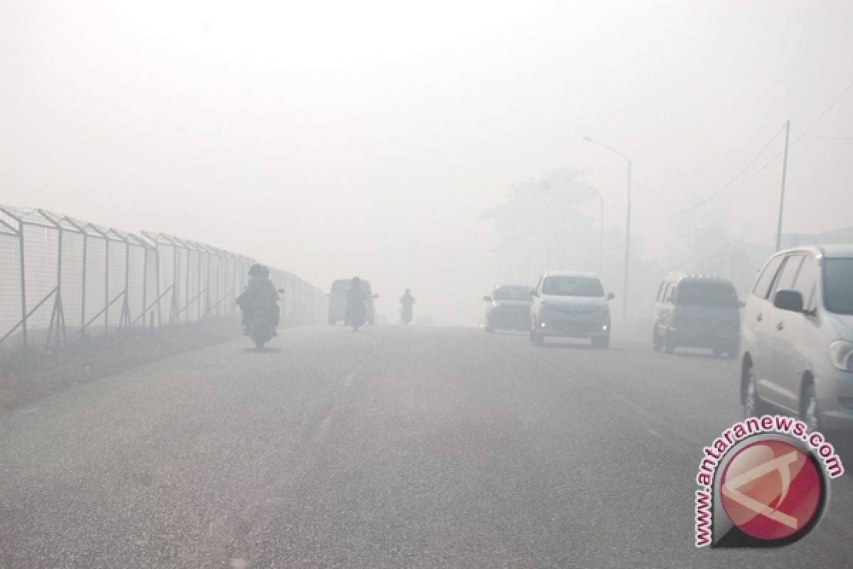 BLH Nilai Kabut Asap Di Banjarbaru Membahayakan 
