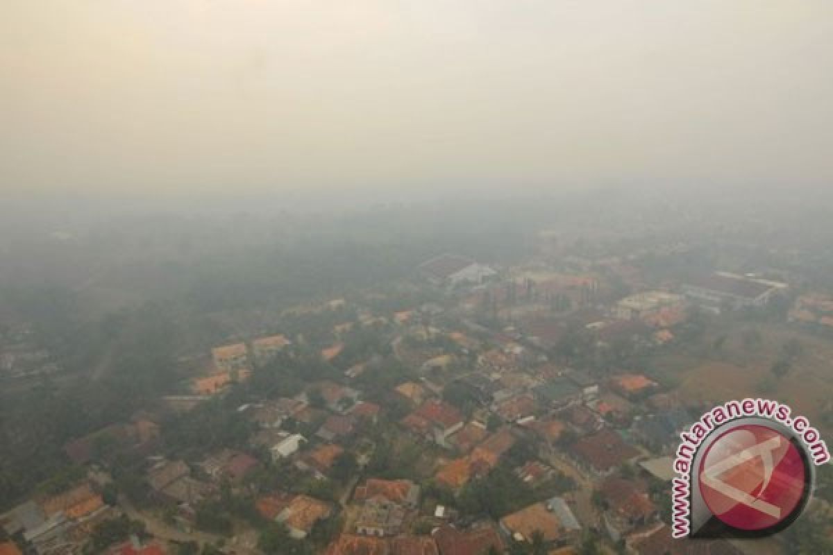 Haze from forest fire affects respiratory health