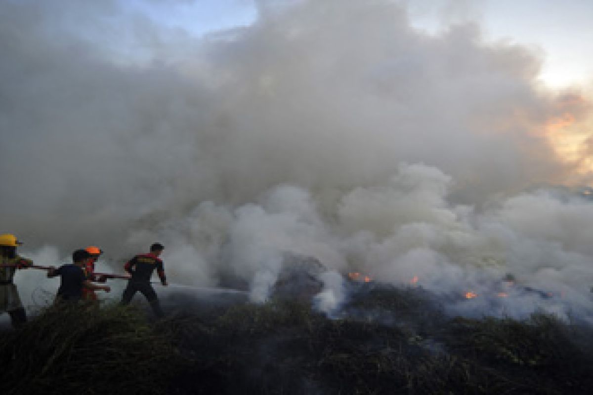 Lahan di jalan trans Sulawesi Majene terbakar
