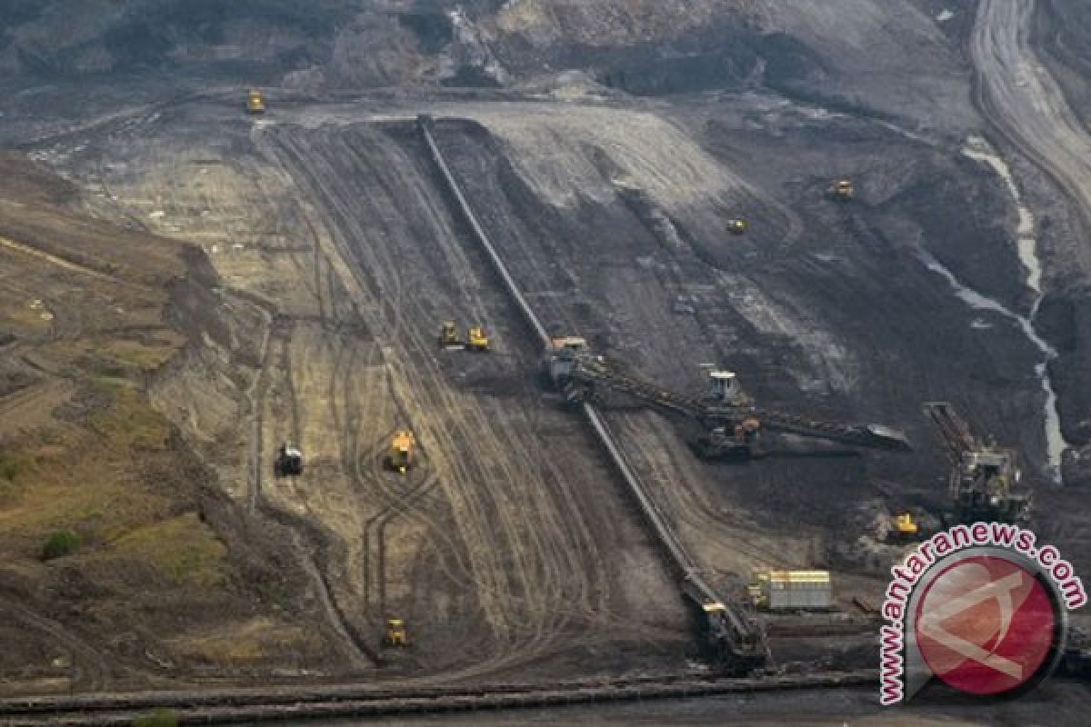 Revisi royalti batubara naikkan penerimaan Rp3 triliun