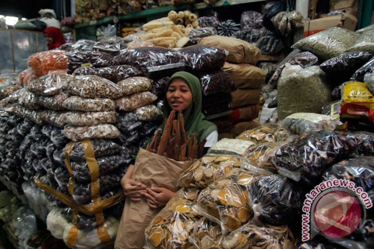 Akar kayu kuning kalimantan semakin sulit diperoleh