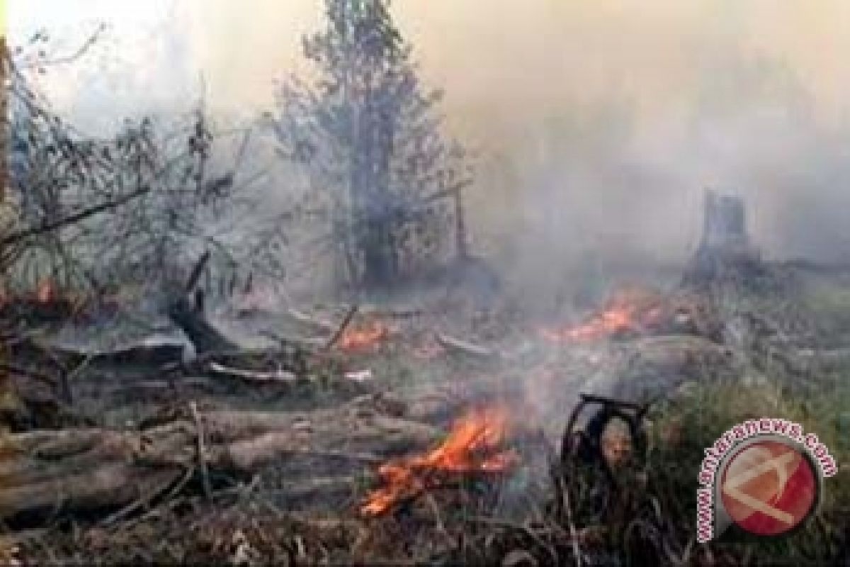 Ratusan hektare lahan perusahaan terbakar