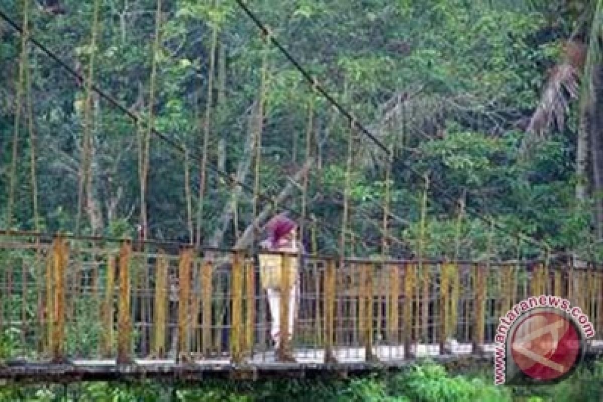 Ironi hutan desa pertama di Indonesia