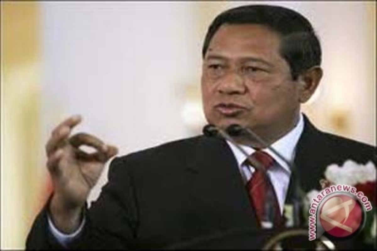 Presiden: Usut pembunuh gajah Aceh