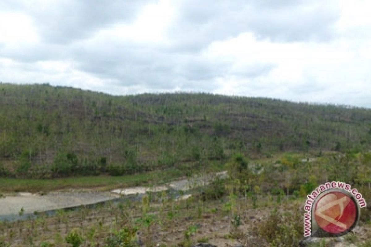 48,20 persen tanah Gunung Kidul belum bersertifikat