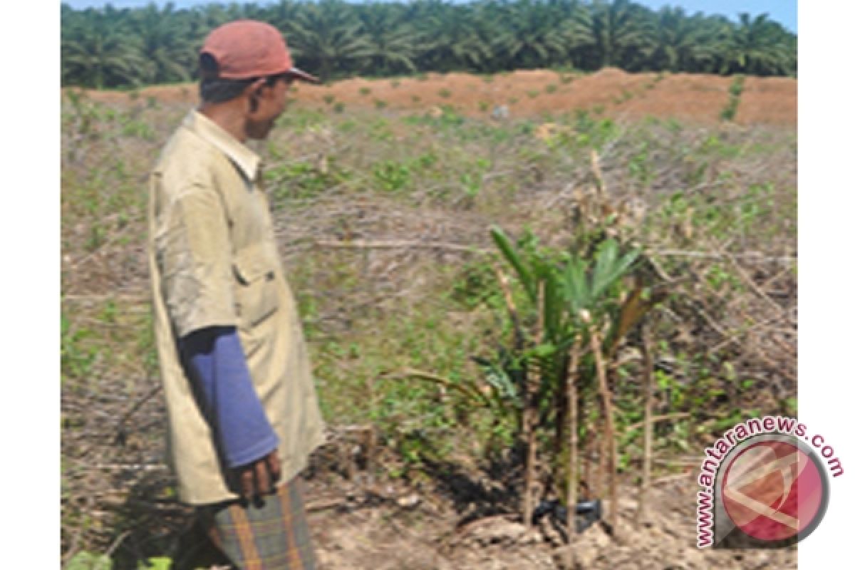 Petani Sulit Peroleh Pupuk Bersubsidi 