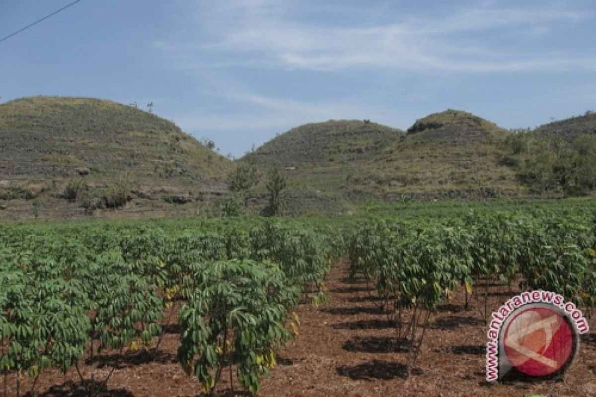 Gunung Kidul menjadi Pusat Sekretariat Geopark Gunungsewu 