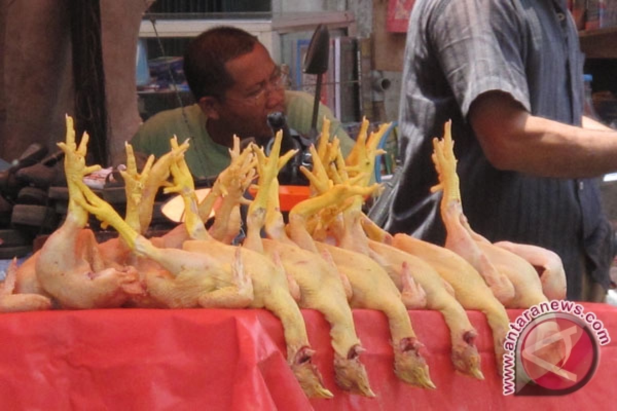 Harga daging ayam di Mukomuko Rp45.000/kilogram