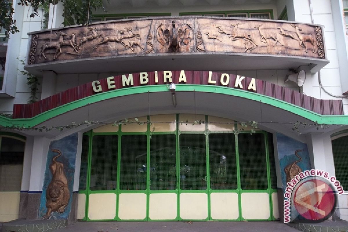 GL-Zoo Yogyakarta akan gelar nikah bareng