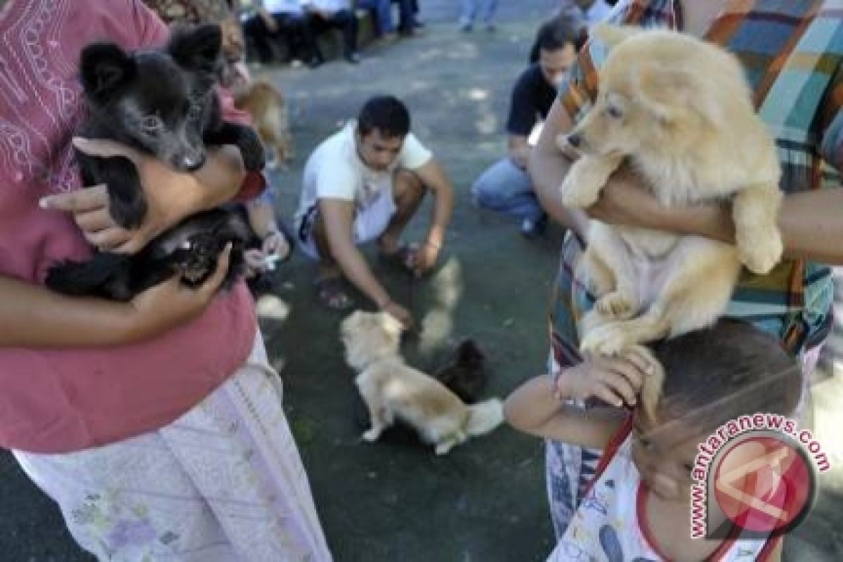 Warga mukomuko diminta ikat anjing peliharaan