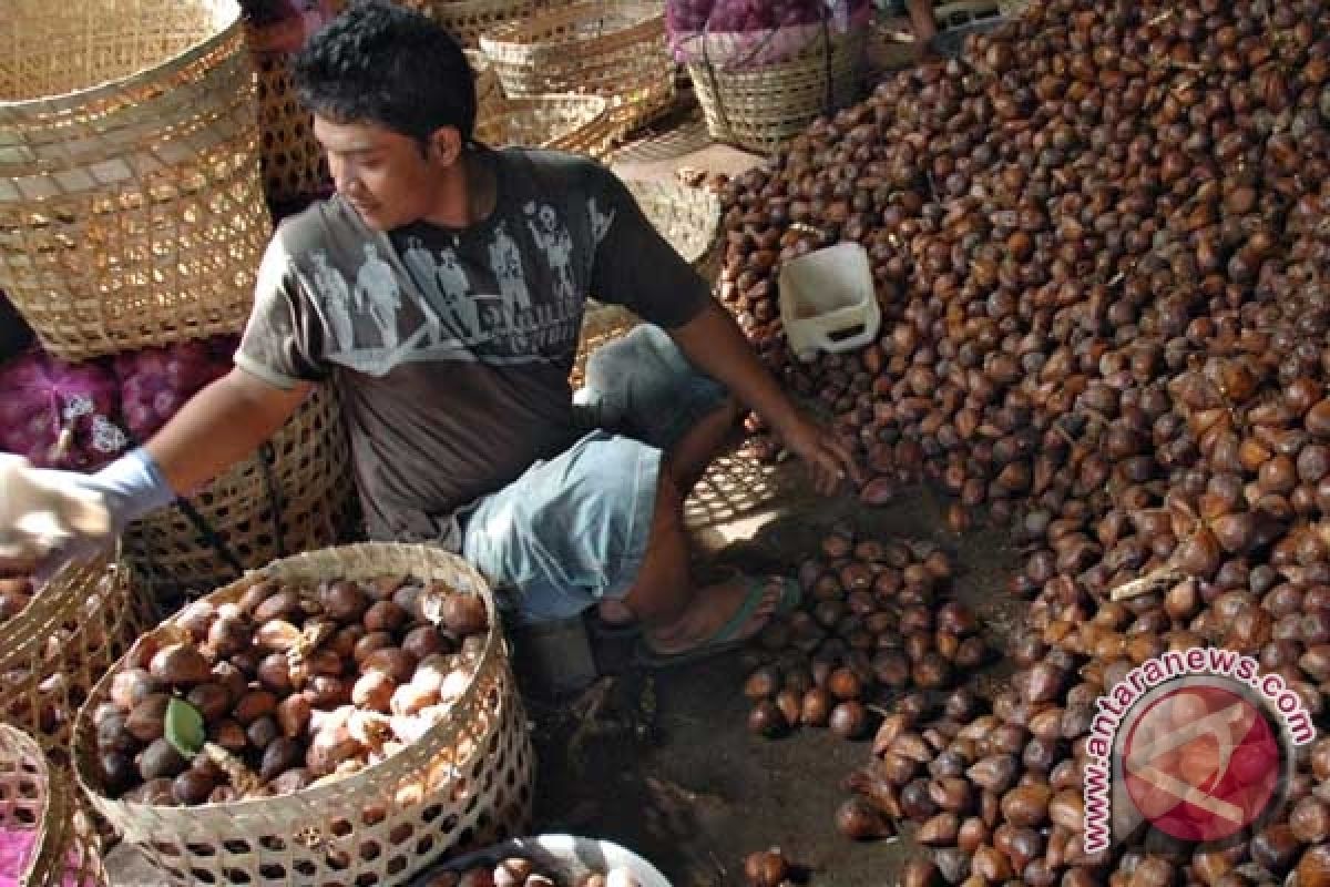 Salak Sleman tambah ekspor buah unggulan Indonesia 