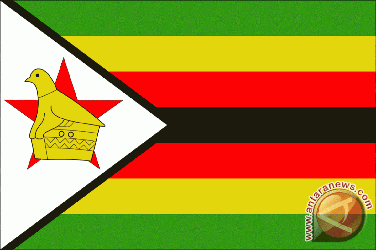 Menteri Energi Zimbabwe Ditahan Karena Menjelekkan Presiden Mugabe 