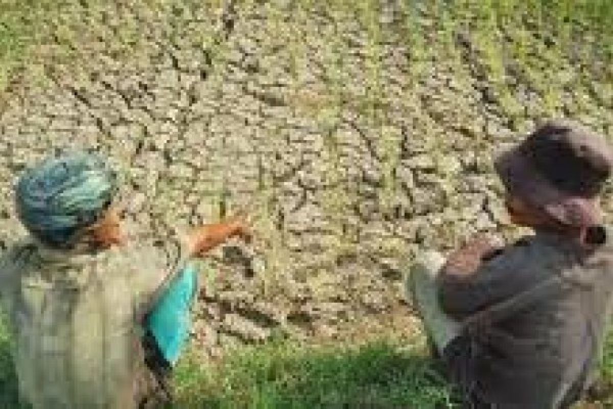 Bencana dan Pembangunan Hadang Ketahanan Pangan