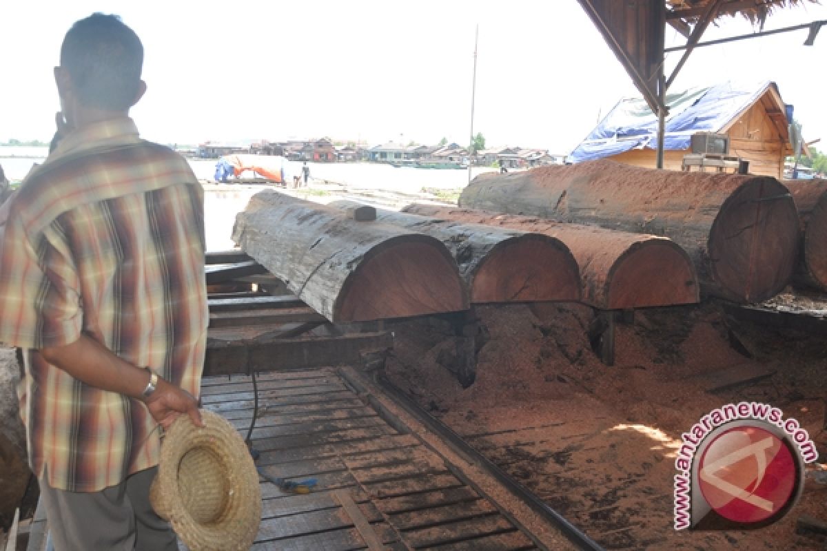 Produksi Kayu Di Tabalong 20.937 Meter Kubik