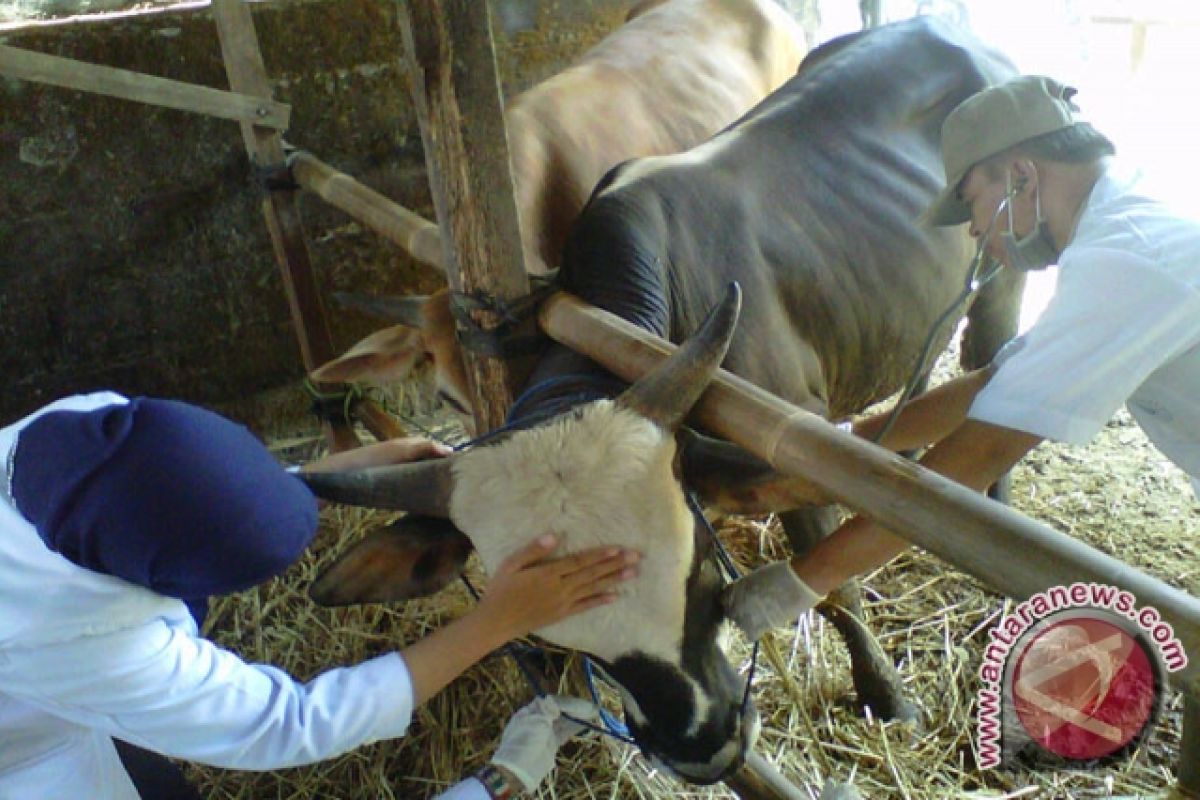 Kulon Progo membentuk tim pemantau hewan kurban