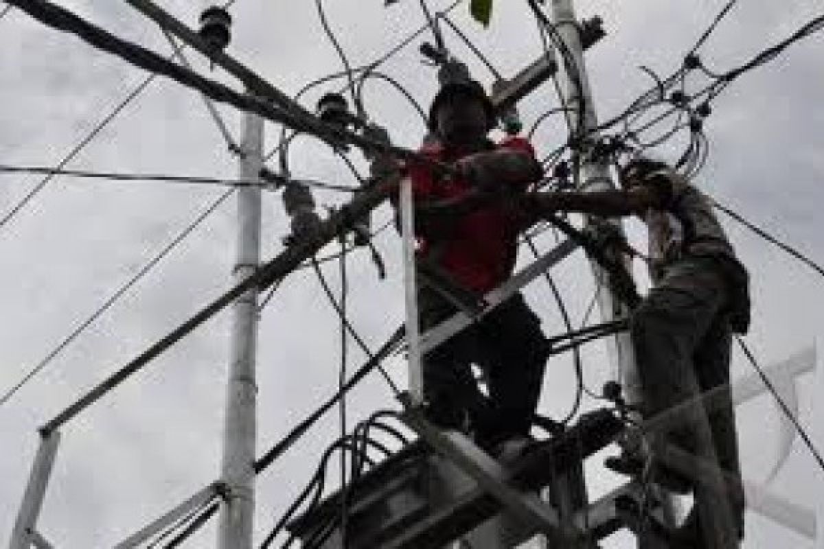 Relawan Listrik Sumatera berhasil pulihkan puluhan gardu di Sigi Sulteng