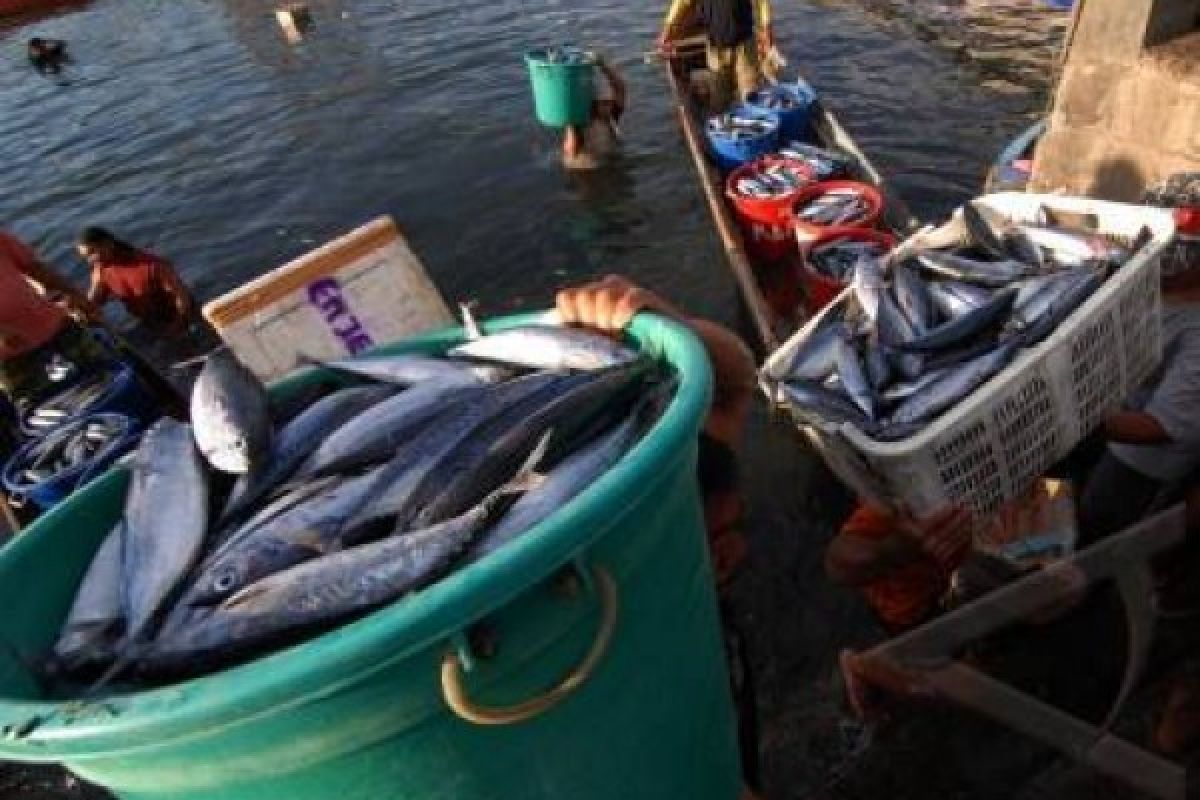 Indonesia-AS Perkuat Promosi Sektor Perikanan Berkelanjutan