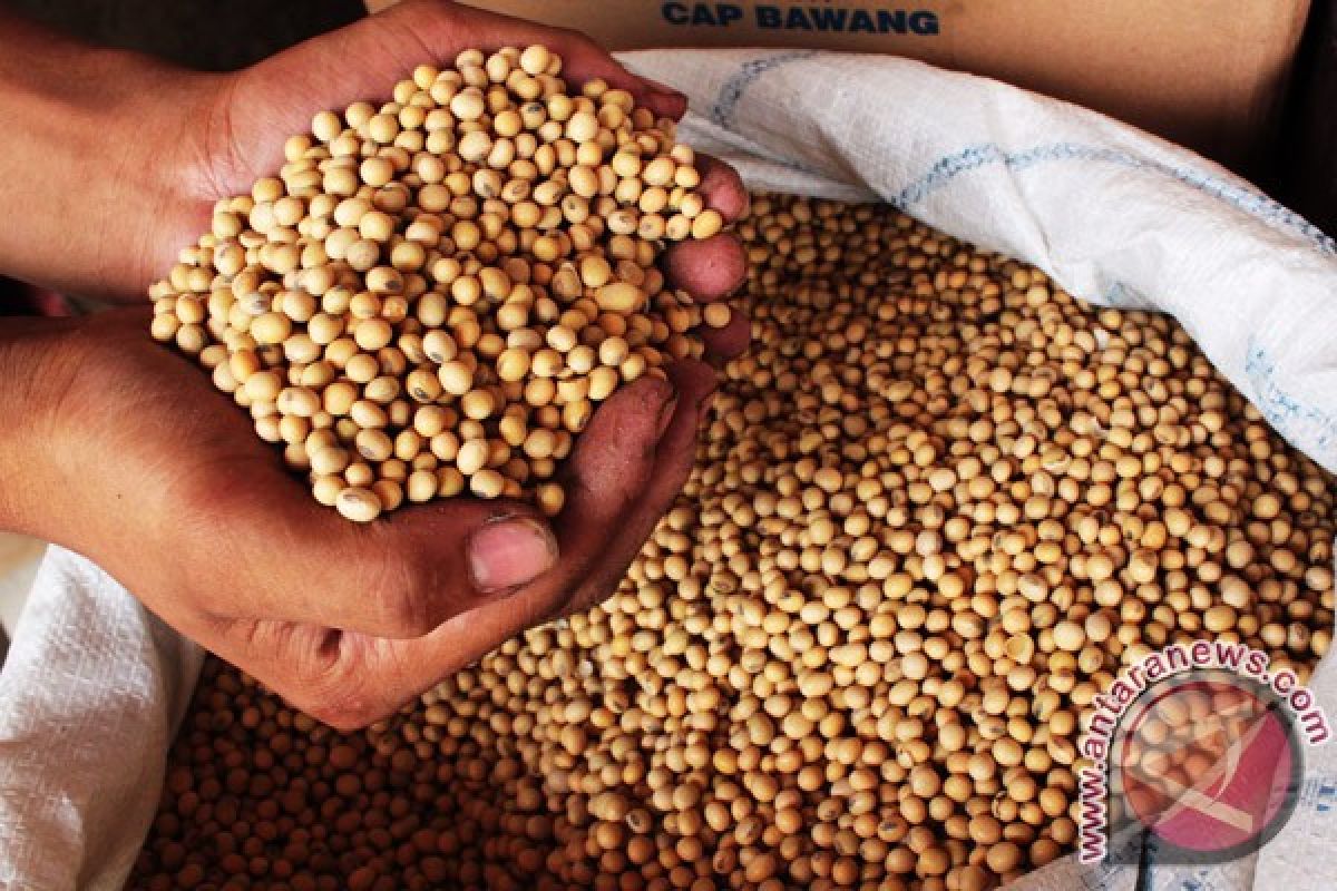 Jambi`s rice and soybean production predicted to rise