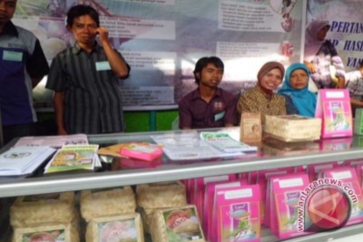 Produksi gula semut Kulon Progo surplus 