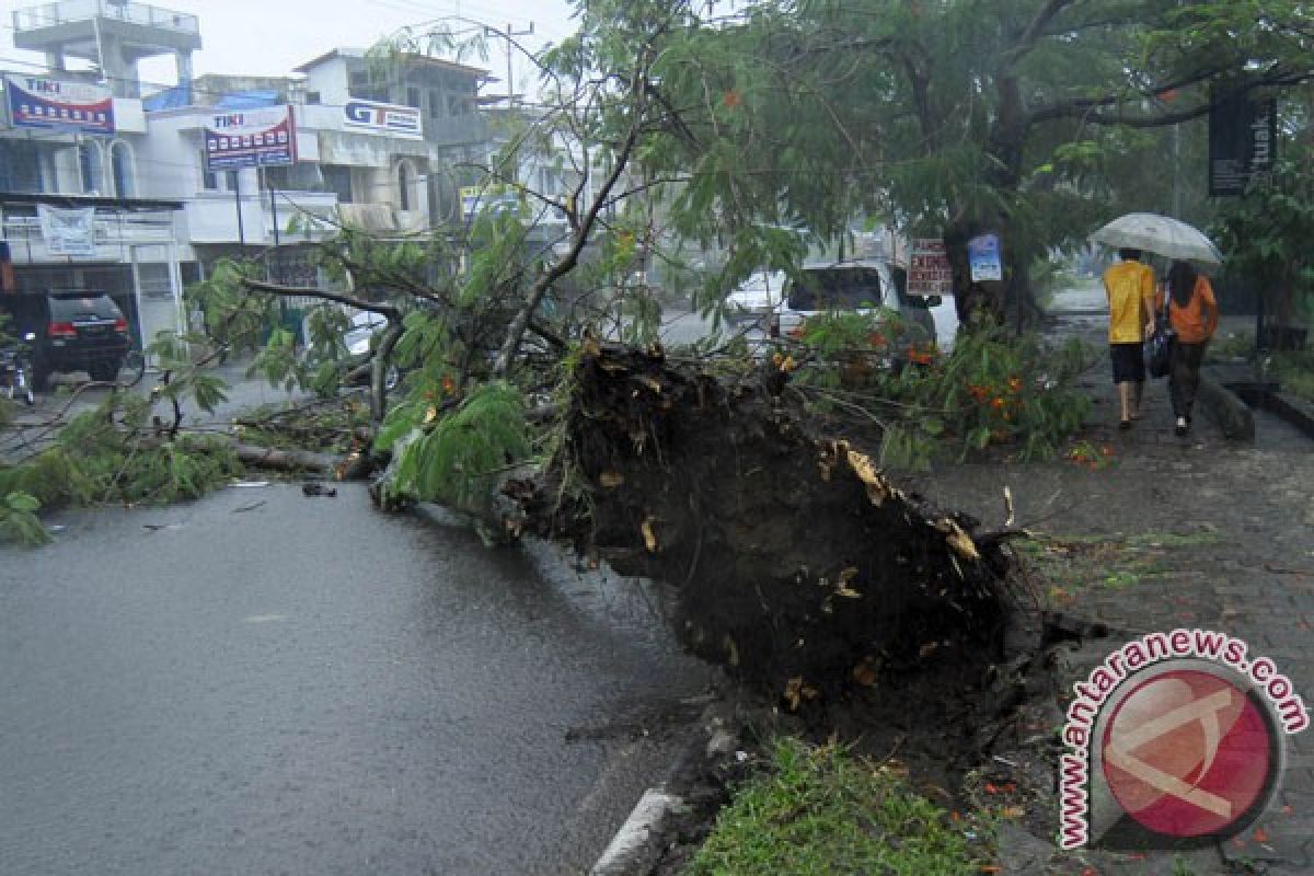 Puting beliung landa Langsa