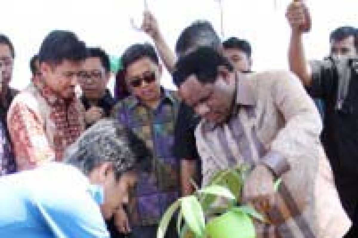 Kambuaya : Pembalakan dan Perusakan Hutan Patut Dihukum