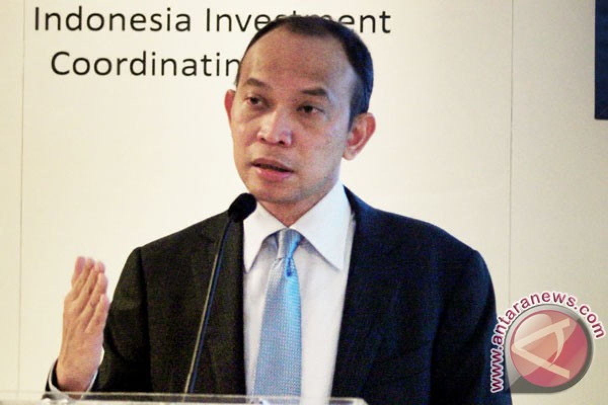Investment up 24.6 percent in 2012: BKPM