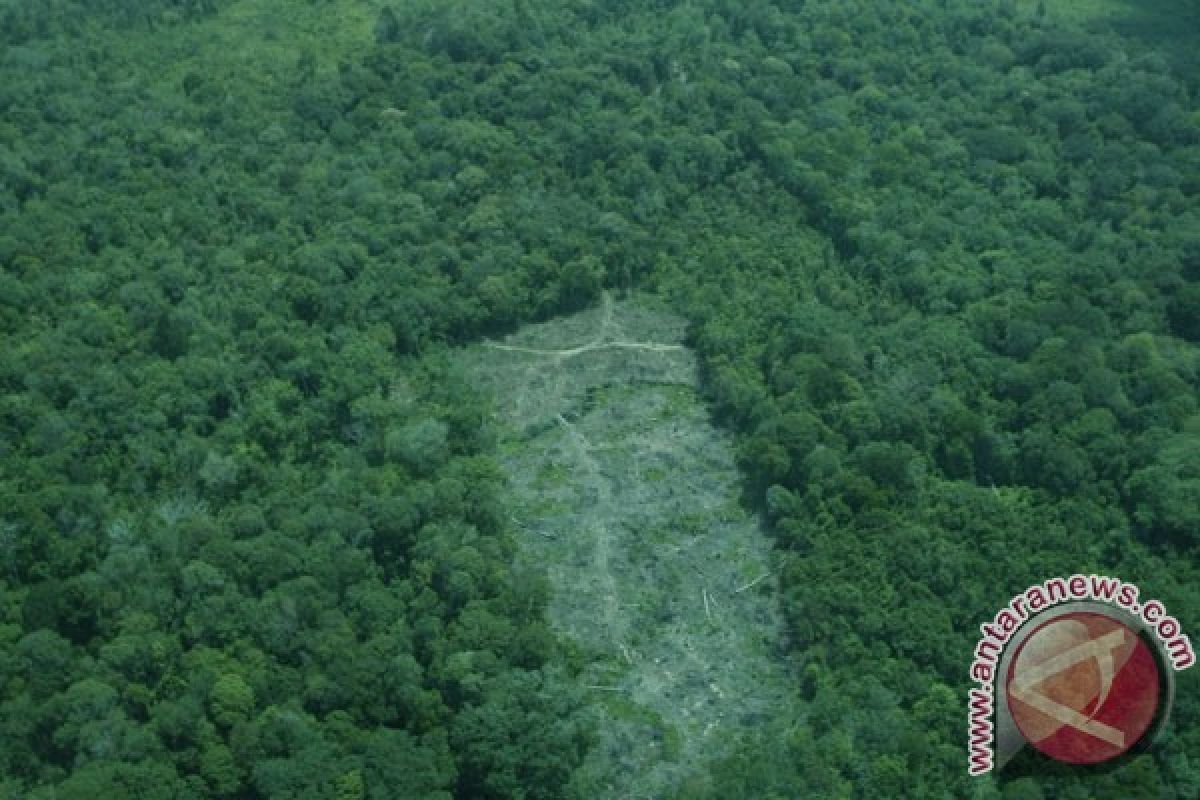 KLHK belajar monitoring hutan produksi di Belanda