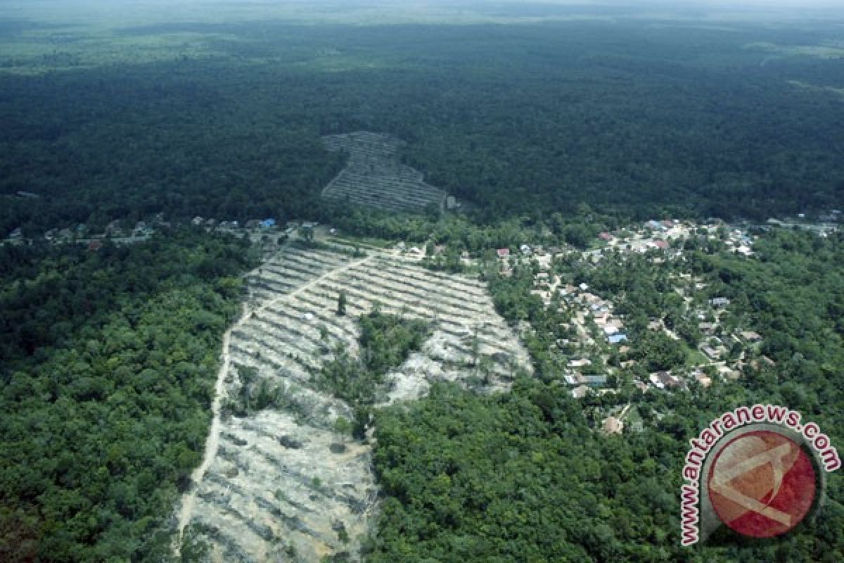 Pemkot Sawahlunto targetkan tanami 400 hektare hutan