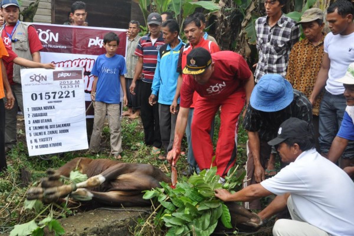 Agam Wajibkan Hewan Kurban Miliki Tiga Surat Keterangan