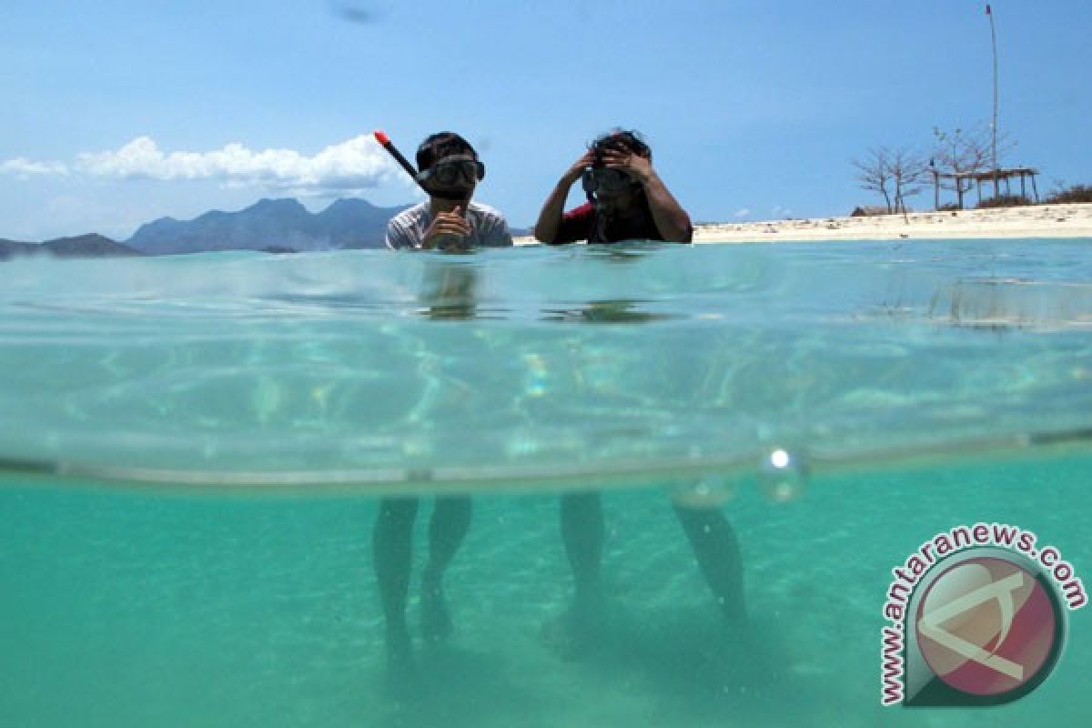 Snorkeling di Pulau Pahawang Lampung