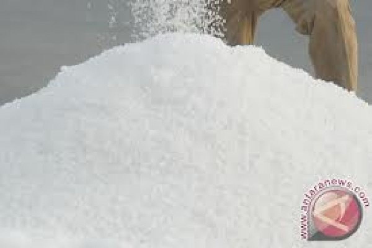 PT Garam's Salt Production Projected at 400 Thousand Tons