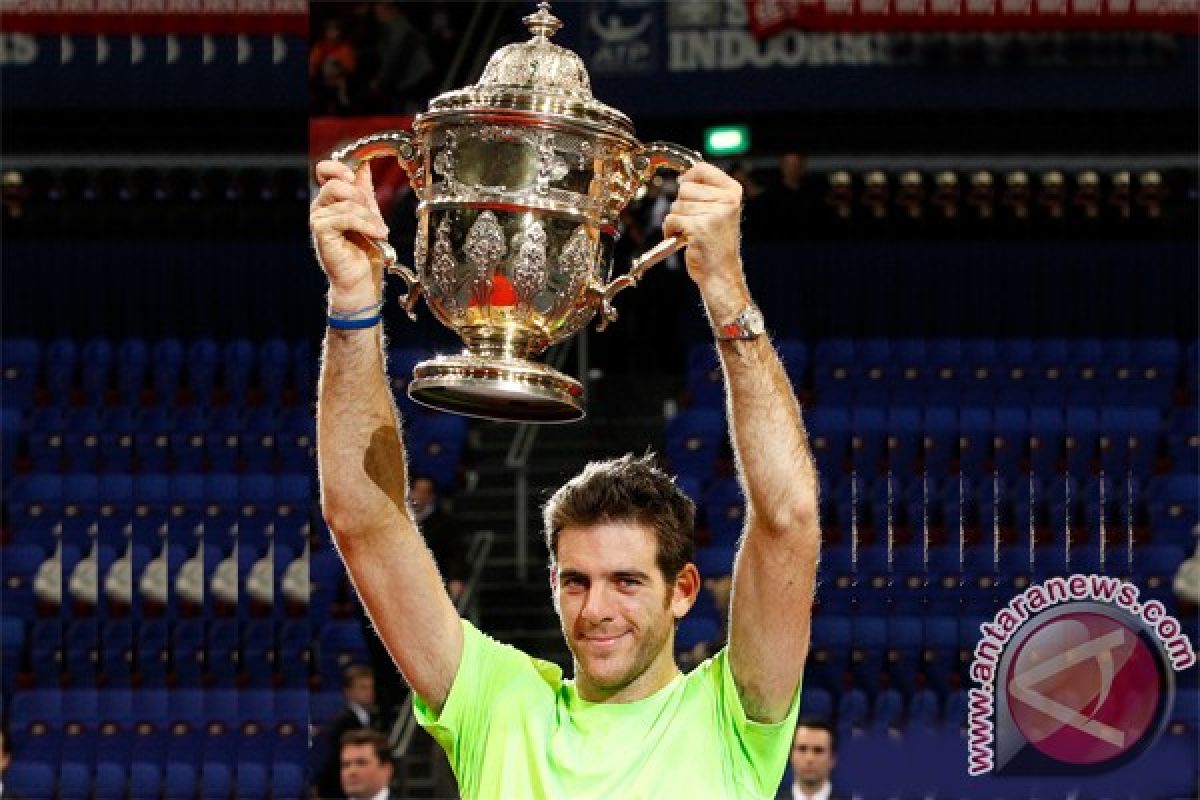 Del Potro kalahkan Federer untuk pertahankan gelar Basel