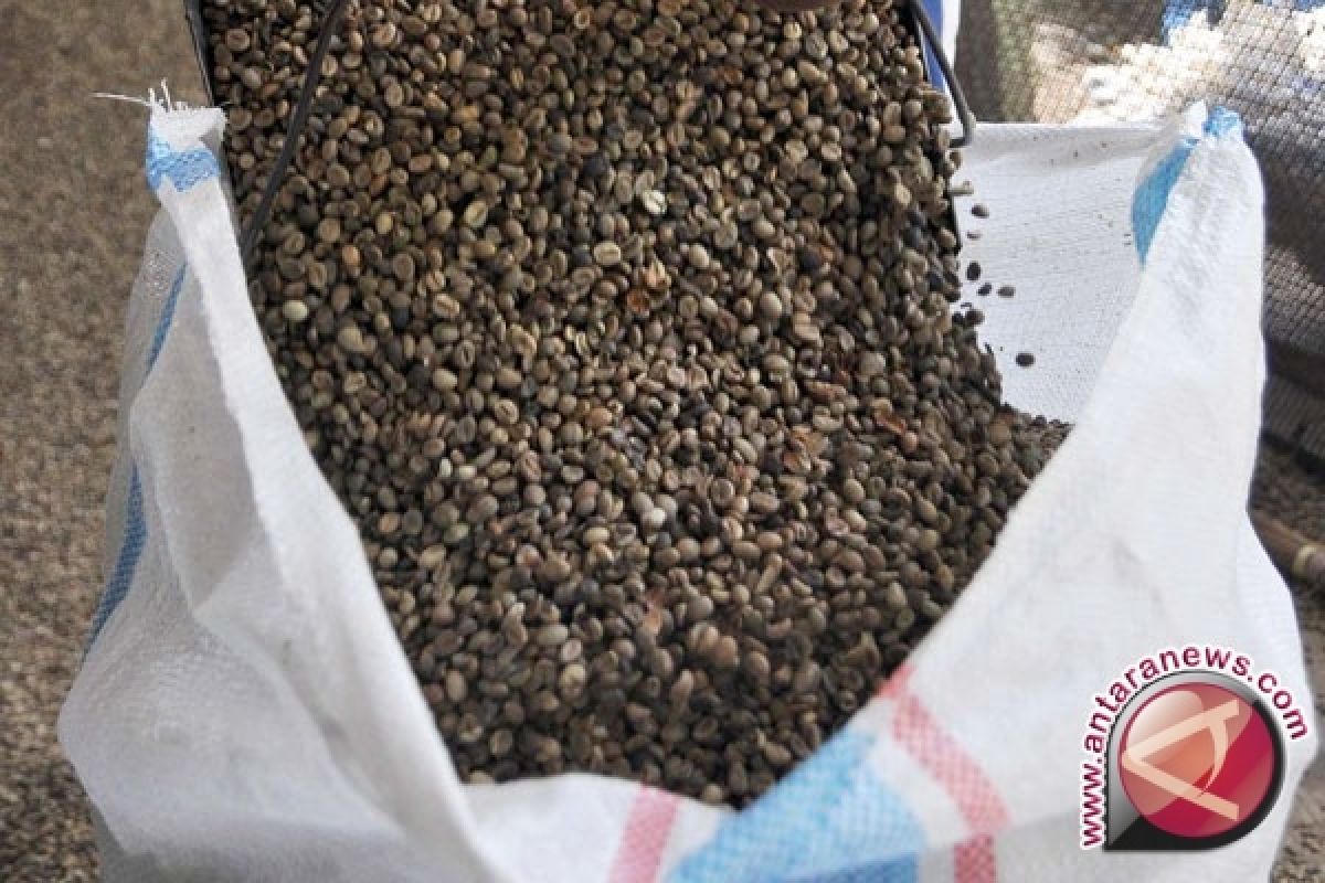 Petani tunda jual kopi tunggu harga naik