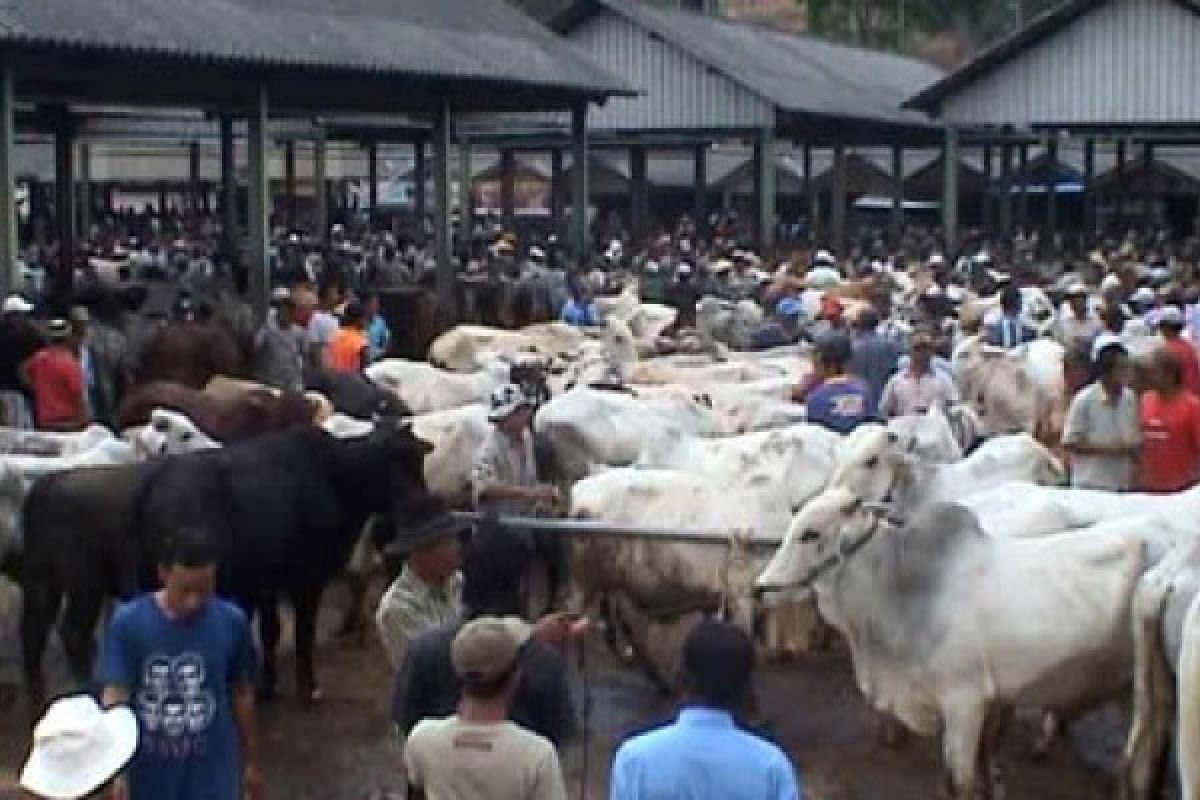 Transaksi Pasar Hewan Ambarawa Tembus Rp10 Miliar