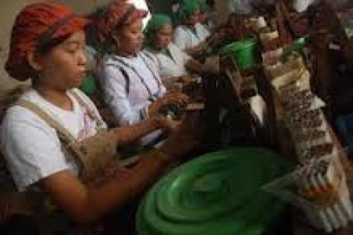 Buruh Pabrik Rokok Jambu Bol Menangkan Gugatan
