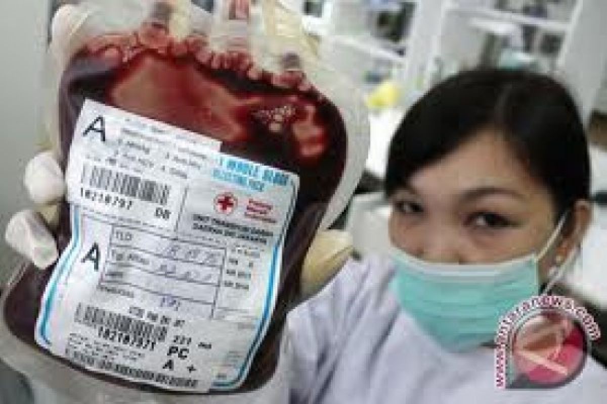 PMI: Indonesia Kekurangan 1,1 Juta Kantong Darah
