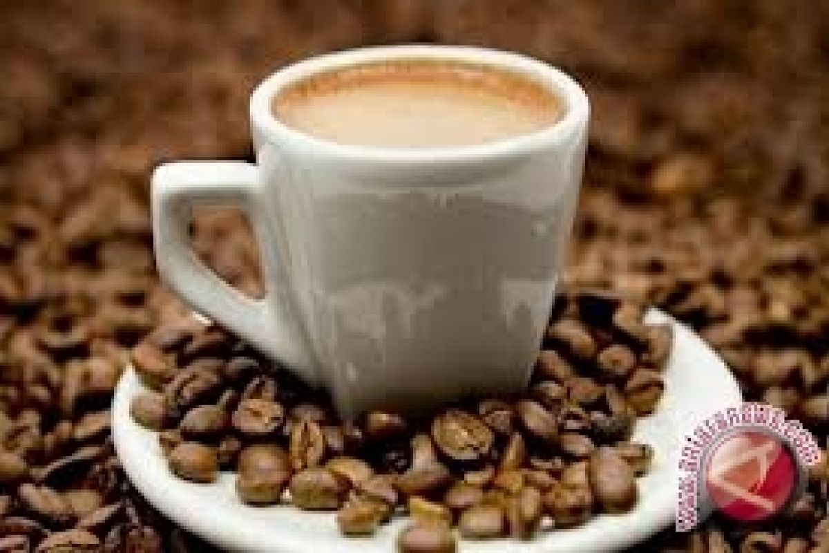 Seribu cangkir kopi gratis dibagikan di Senayan 