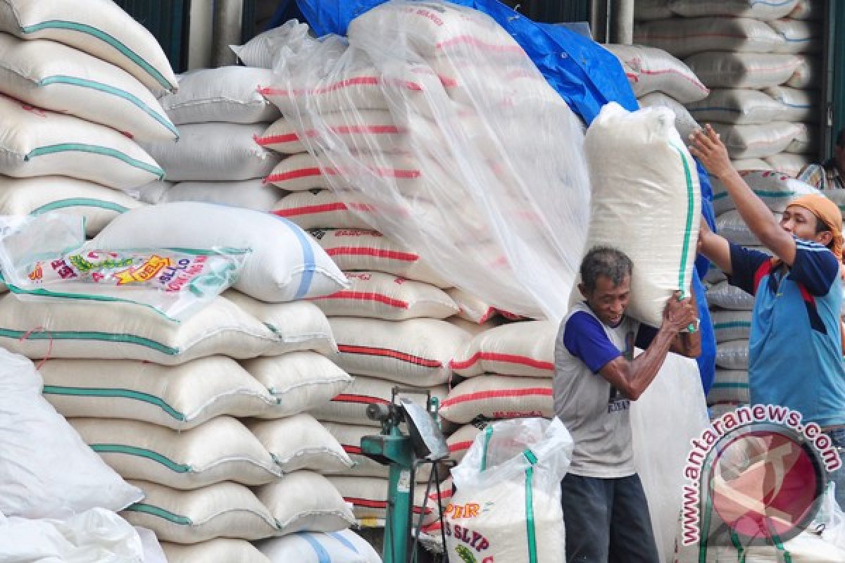 Rice prices to be stable in 2013