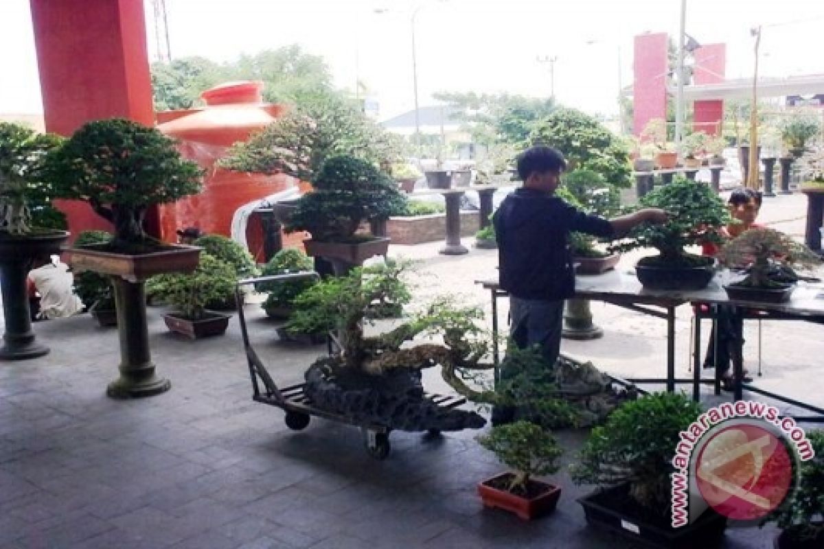 Aneka bonsai dipamerkan di halaman mal baturaja