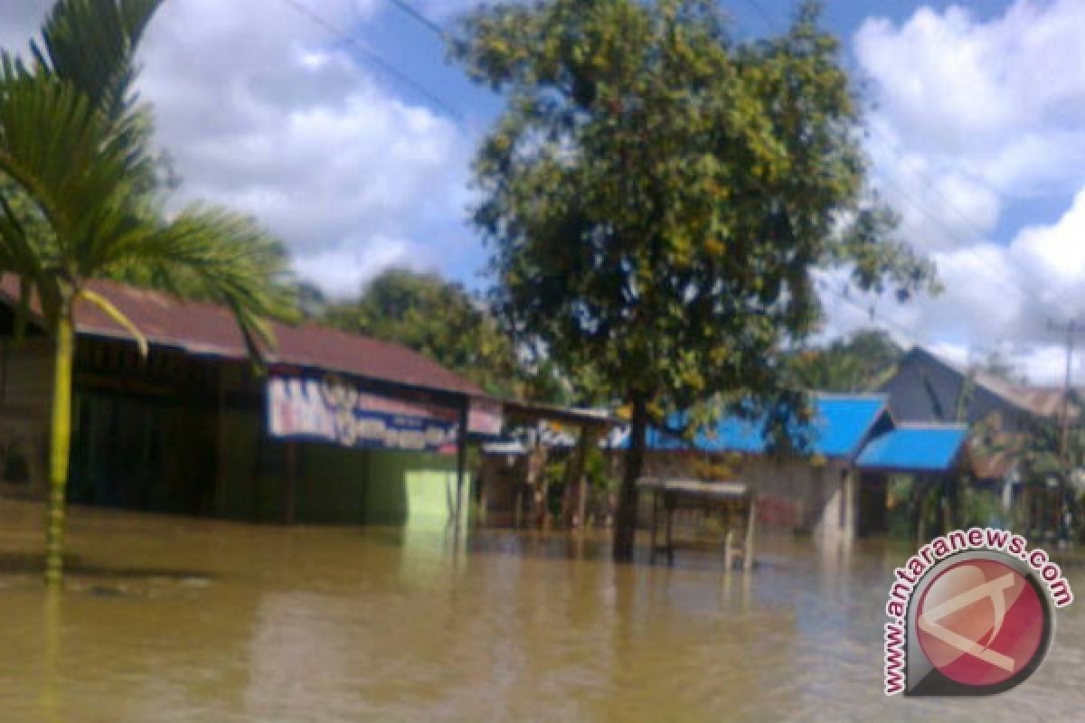 80 Persen Rumah Warga Sintang Terendam Banjir