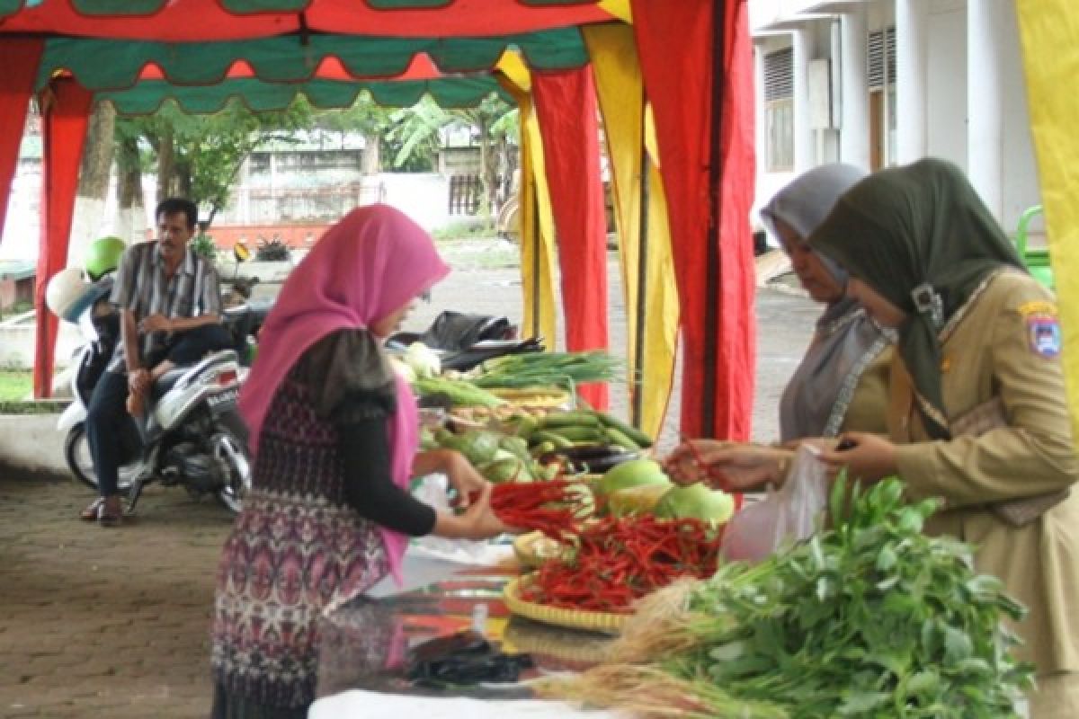 Dinas Pertanian dan STA Gagas Pasar Tani di Kubu Gadang