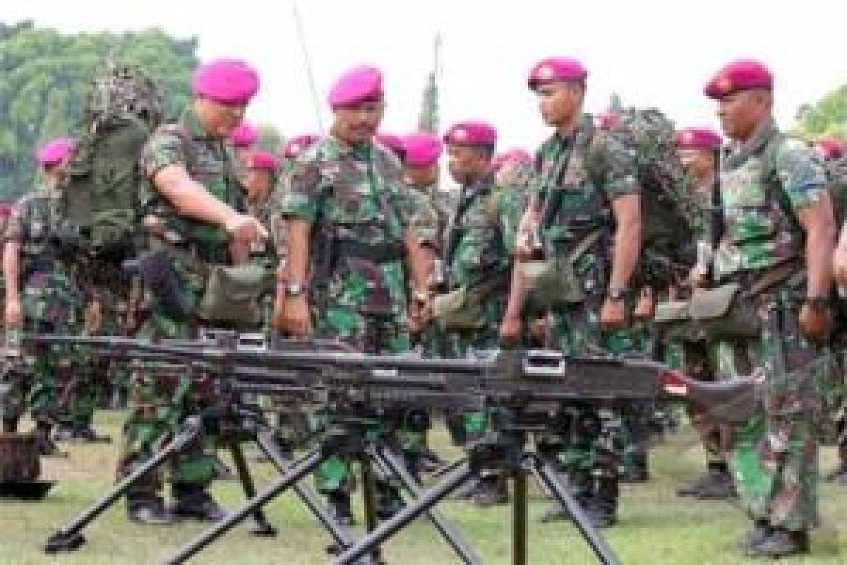 Baret Ungu resmi disandang 352 prajurit tantama remaja Marinir TNI-AL