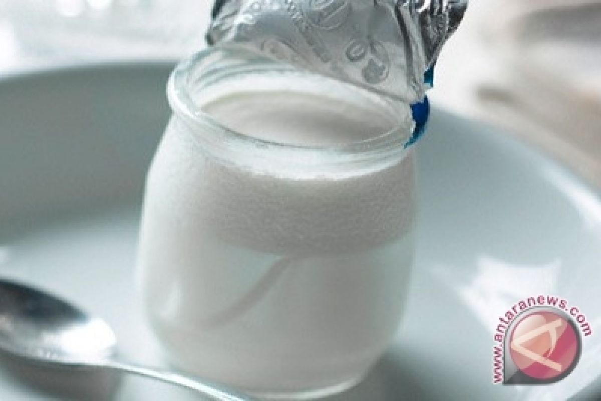 Yoghurt Dapat Mengurangi Jumlah Kolesterol Jahat