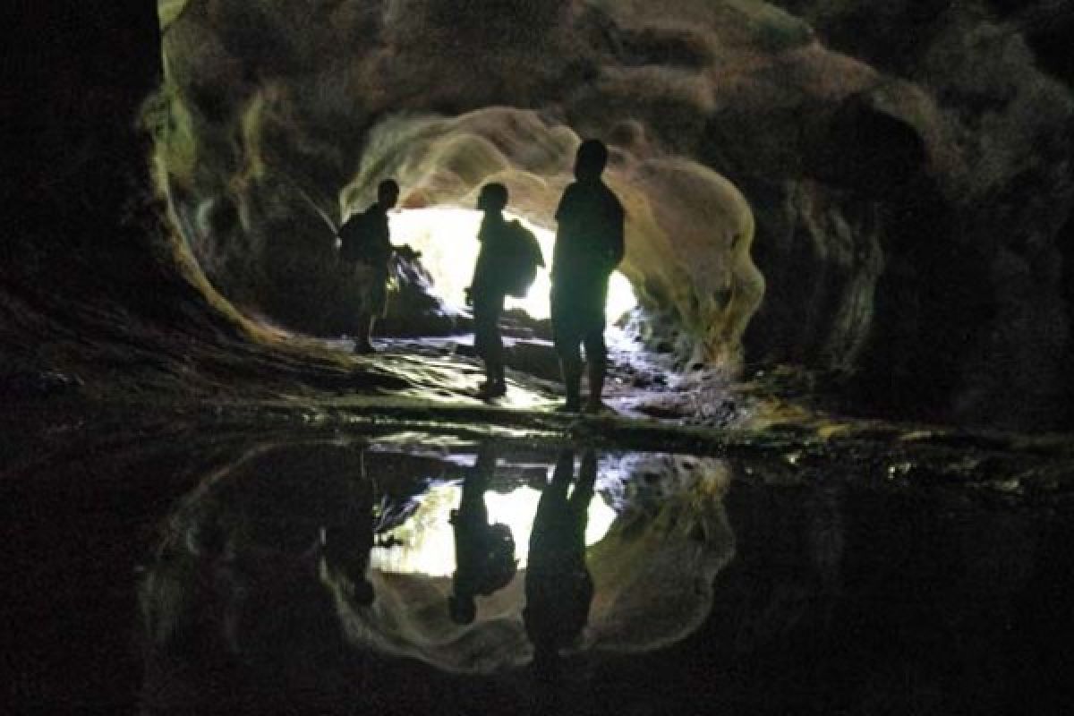 Cave Becomes Main Attraction to be Visited in Ngalau Indah