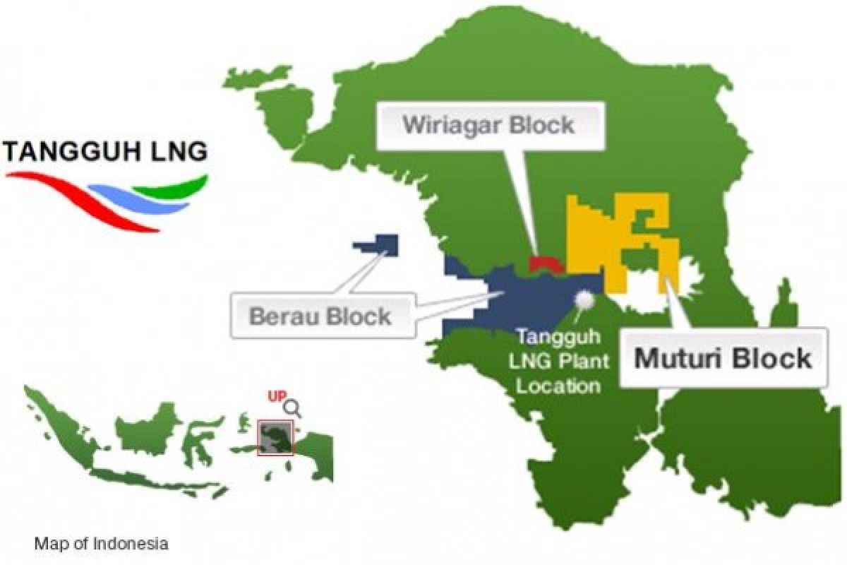 Tangguh LNG refinery plant stops operation for several weeks