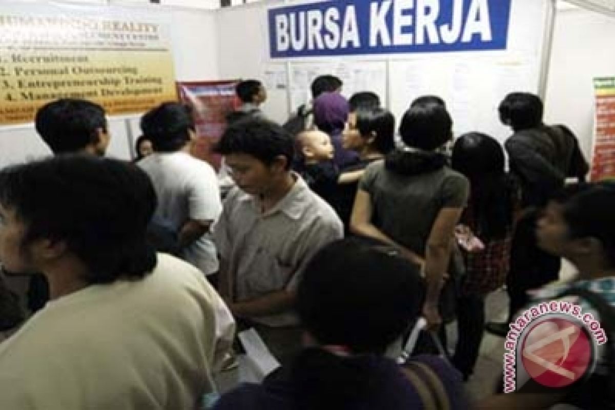 Pemkab Kulon Progo data pengangguran secara lengkap 