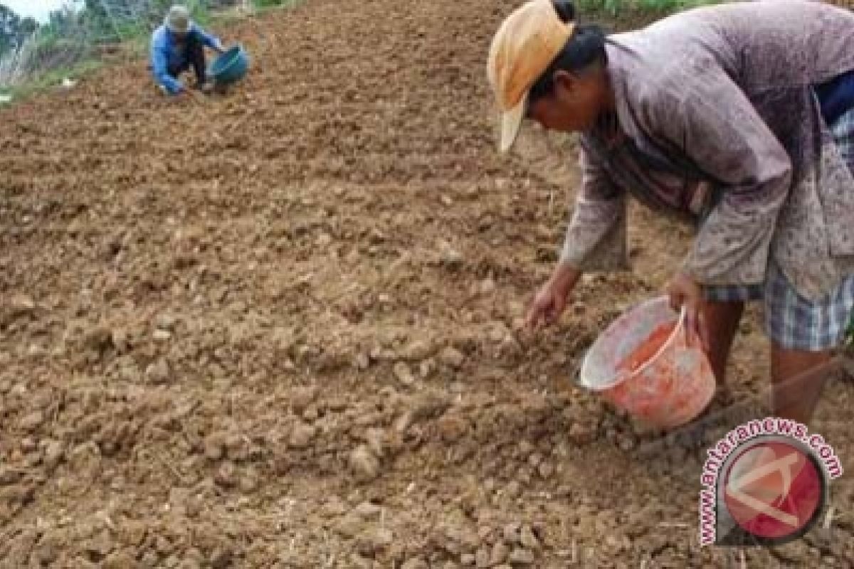 Pemkab salurkan bantuan kultivator tingkatkan produksi hortikultura