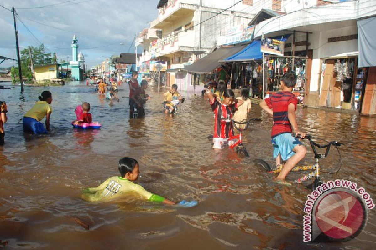 Ratusan rumah di Barito Utara masih terendam