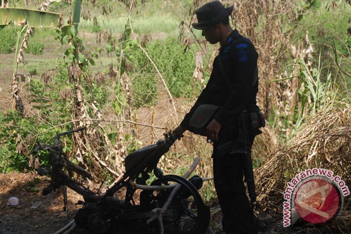 Perang tanding kembali pecah di Adonara